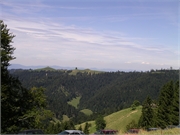 Walter 08.07.08-02.01.200946